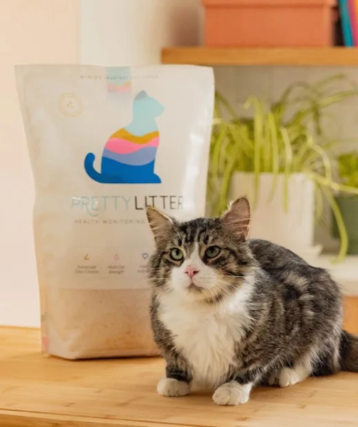 PrettyLitter